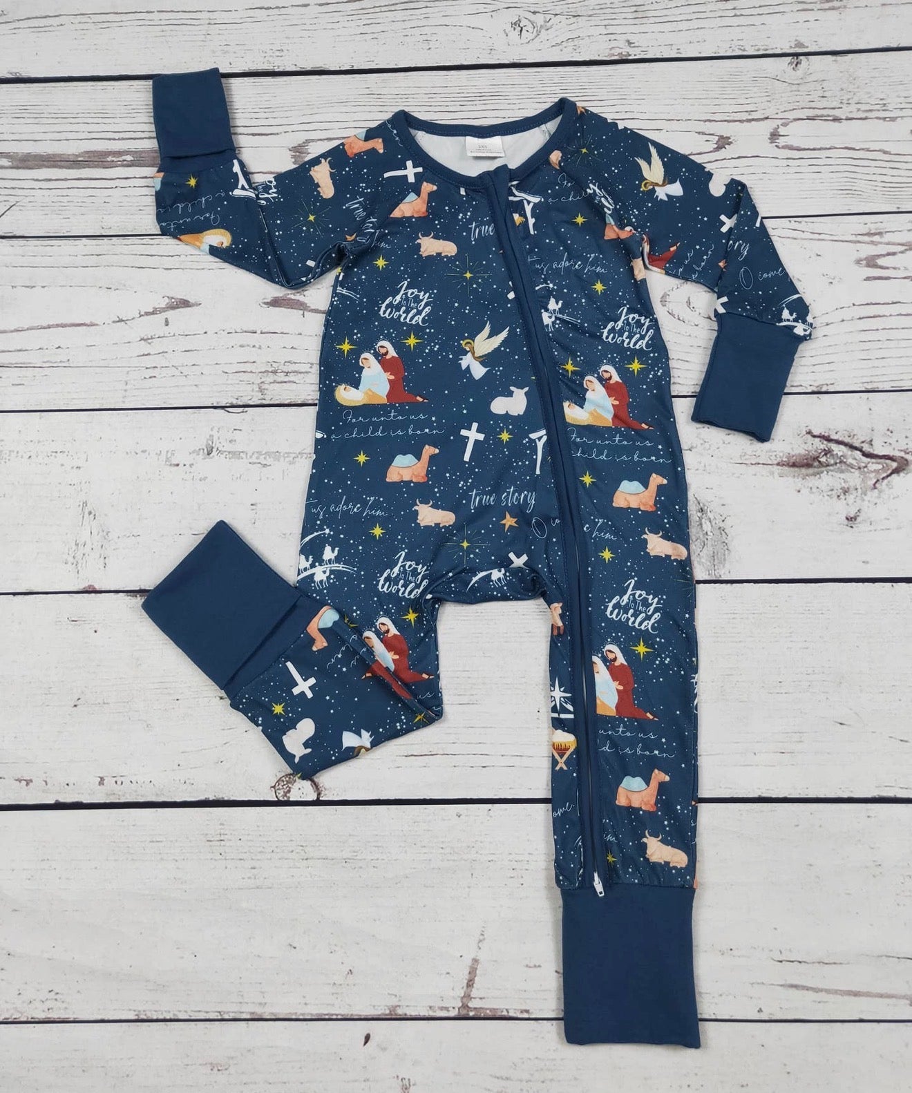 Nativity Scene Zippy